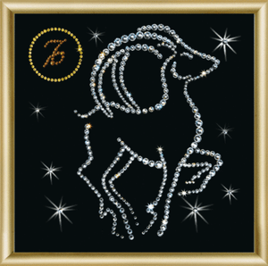" Capricorn " Set for Crystals Artwork " Capricorn " Set for Crystals Artwork