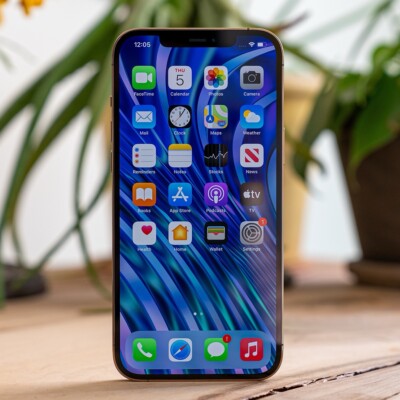 iPhone 12 Pro Max With TikTok Installed