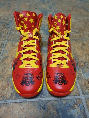 Nike Hyperdunk 2010 FIBA China t-mac sz11.5 | eBay Nike Hyperdunk 2010 FIBA China t-mac sz11.5 | eBay