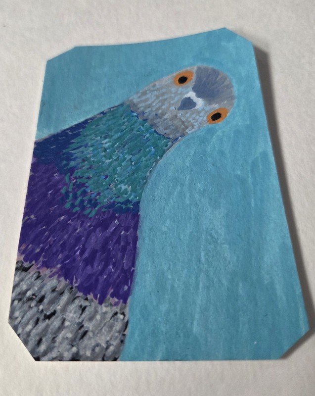ACEO Original Acrylic Miniature Painting - Suspicious Pigeon - by Nicole Cress