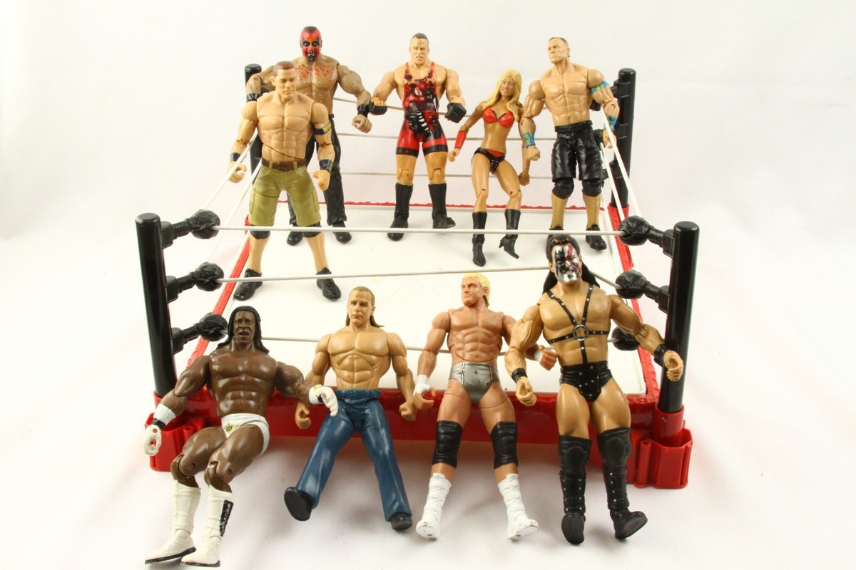 WWE/WWF LOT BUNDLE 9 FIGURES WITH 13-1/2