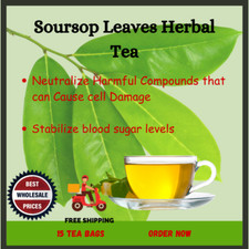 Soursop Leaves Herbal 15 Tea Bags Muricata Guanabana Graviola Organic Powder New
