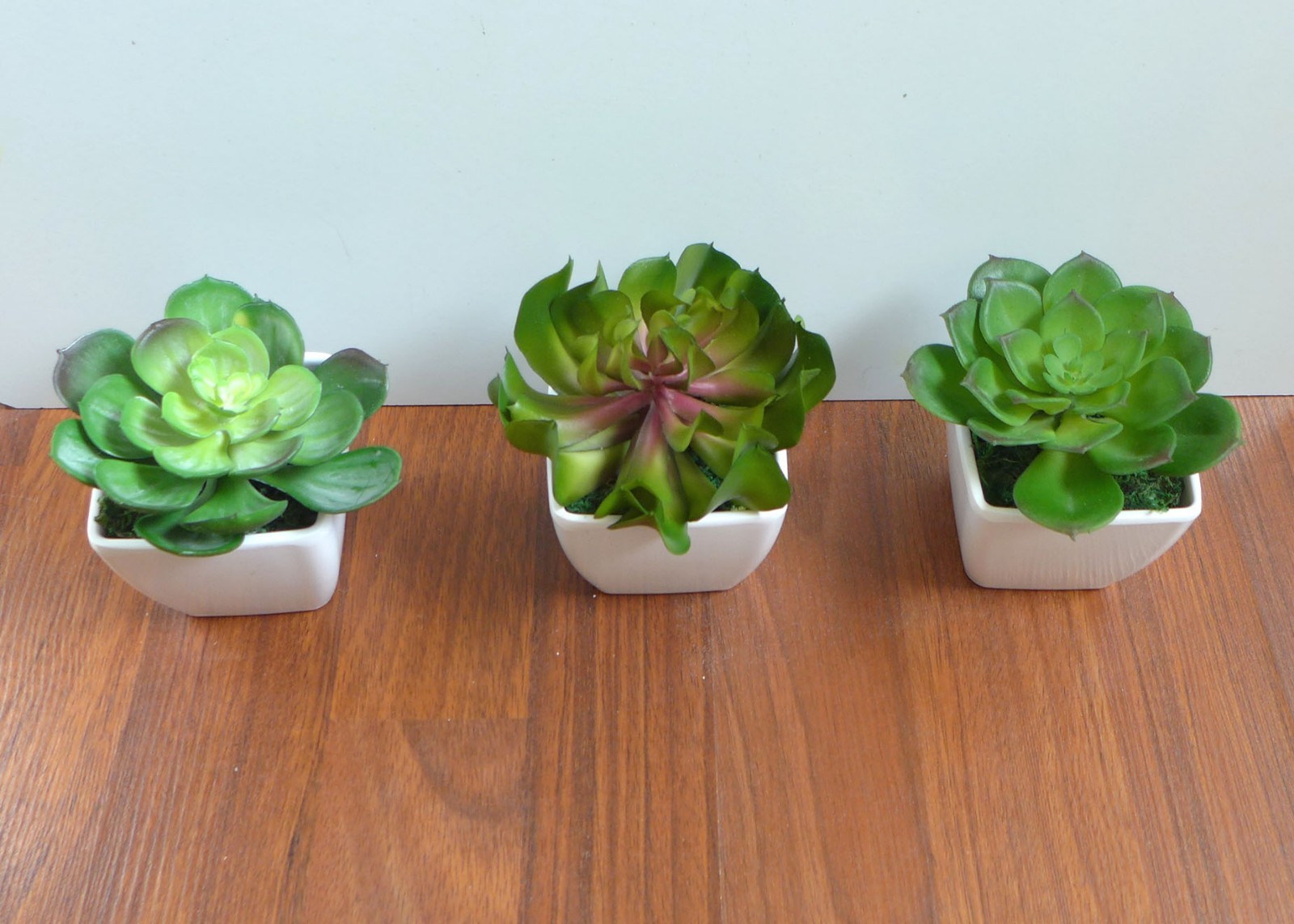 3 Mini Potted Artificial flowers unkillable Succulents Plants With Pot