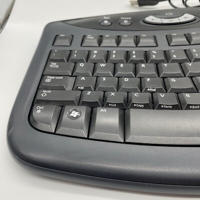Microsoft Comfort Curve Keyboard 2000 v1.0 USB Wired