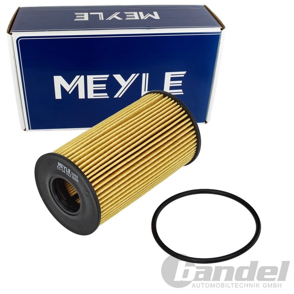 Meyle ÖLfilter Filtereinsatz Passend FüR Jaguar E-PACE F-PACE F-TYPE XE XF Land-image