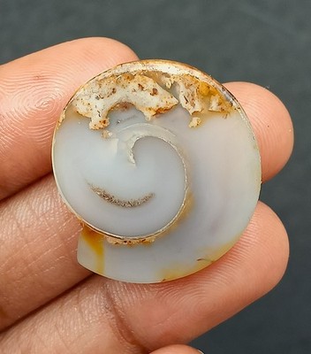 26 Cts. 100% NATURAL Unique Fossil Snail Slice Fancy Cabochon Loose Gemstone