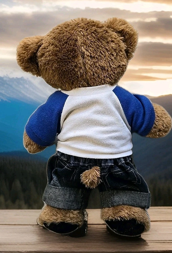 Build a Bear Workshop Bearemy Bear Plush Retired Stuffed Animal 15" Teddy Bear - Image 2 of 4