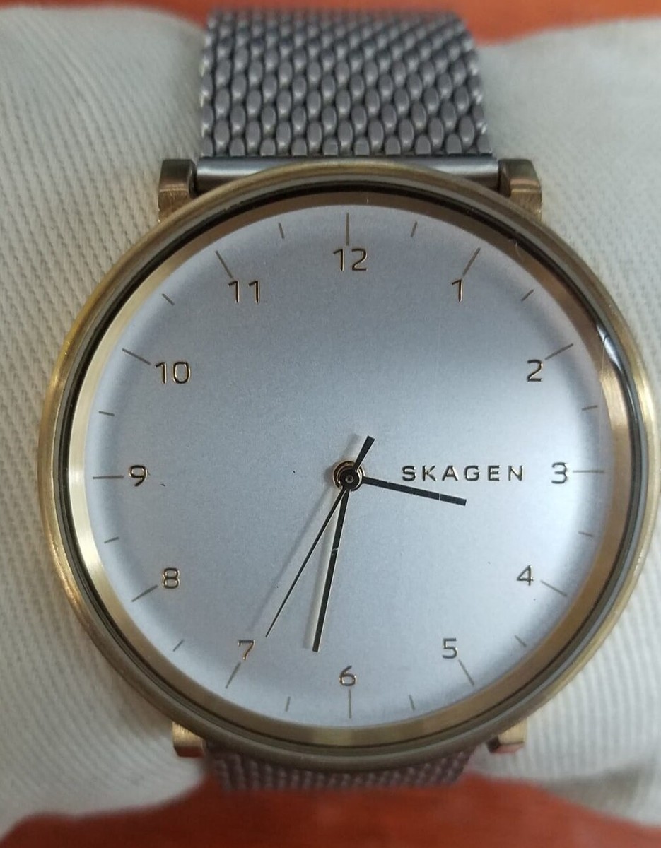 SKAGEN 腕時計 SKAGEN 腕時計｜Yahoo!フリマ（旧PayPayフリマ）