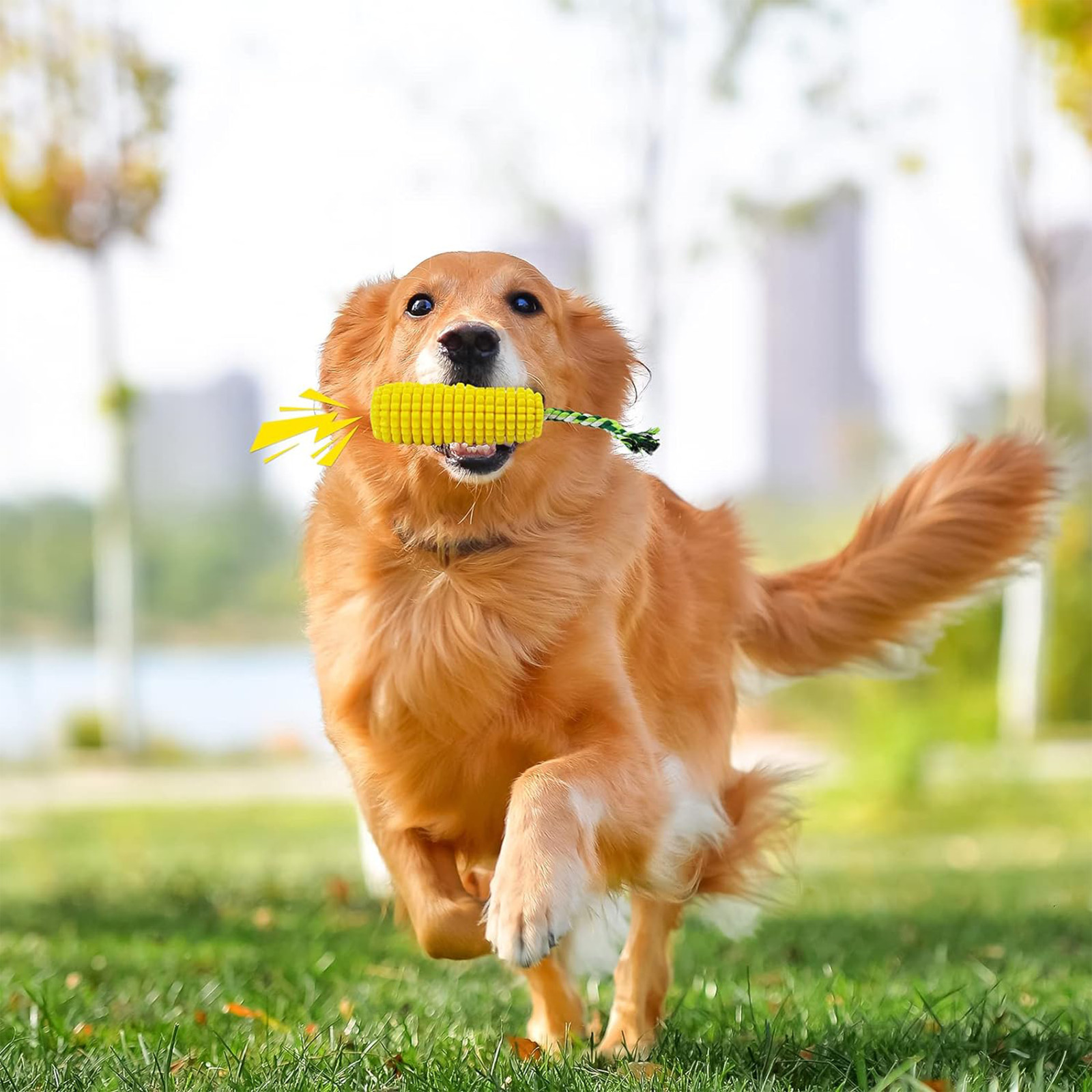 Carllg Dog Chew Toys for Aggressive Chewers Indestructible Tough Durable Squeaky