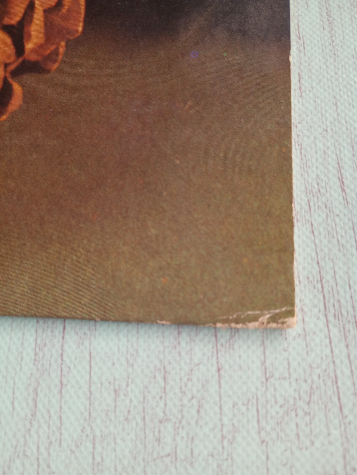 Bild 3 von 11