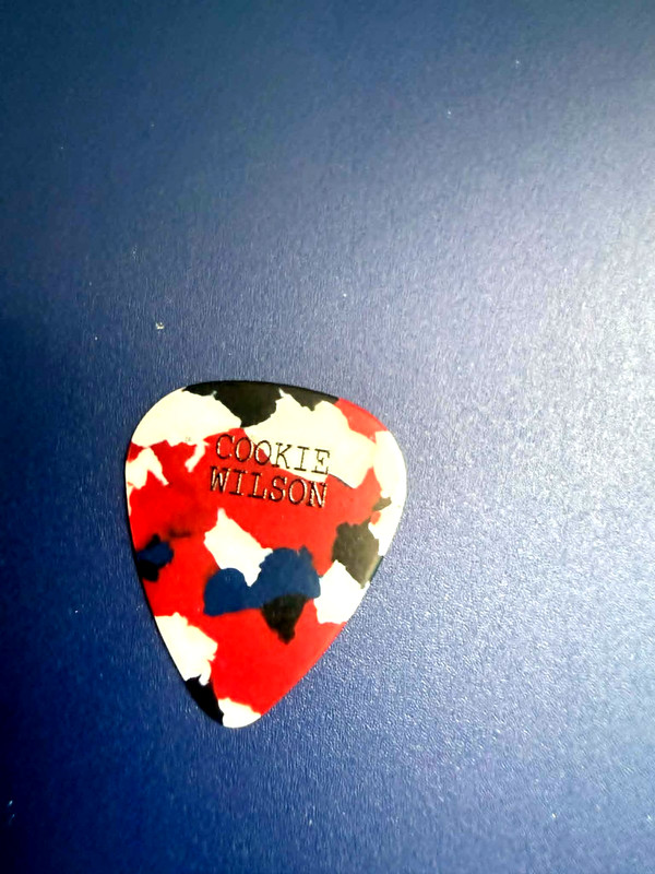 ((( THE BEACH BOYS ))) guitar pick VERY RARE #2