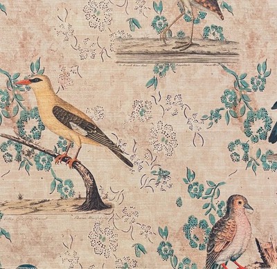 JOHN DERIAN DESIGNERS GUILD Wallpaper Birds Cotton Multi Remnant New