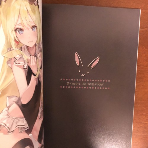 XX meets Girl DSmile Tsundere is love Art Book Illustration - 第 9/24 張圖片