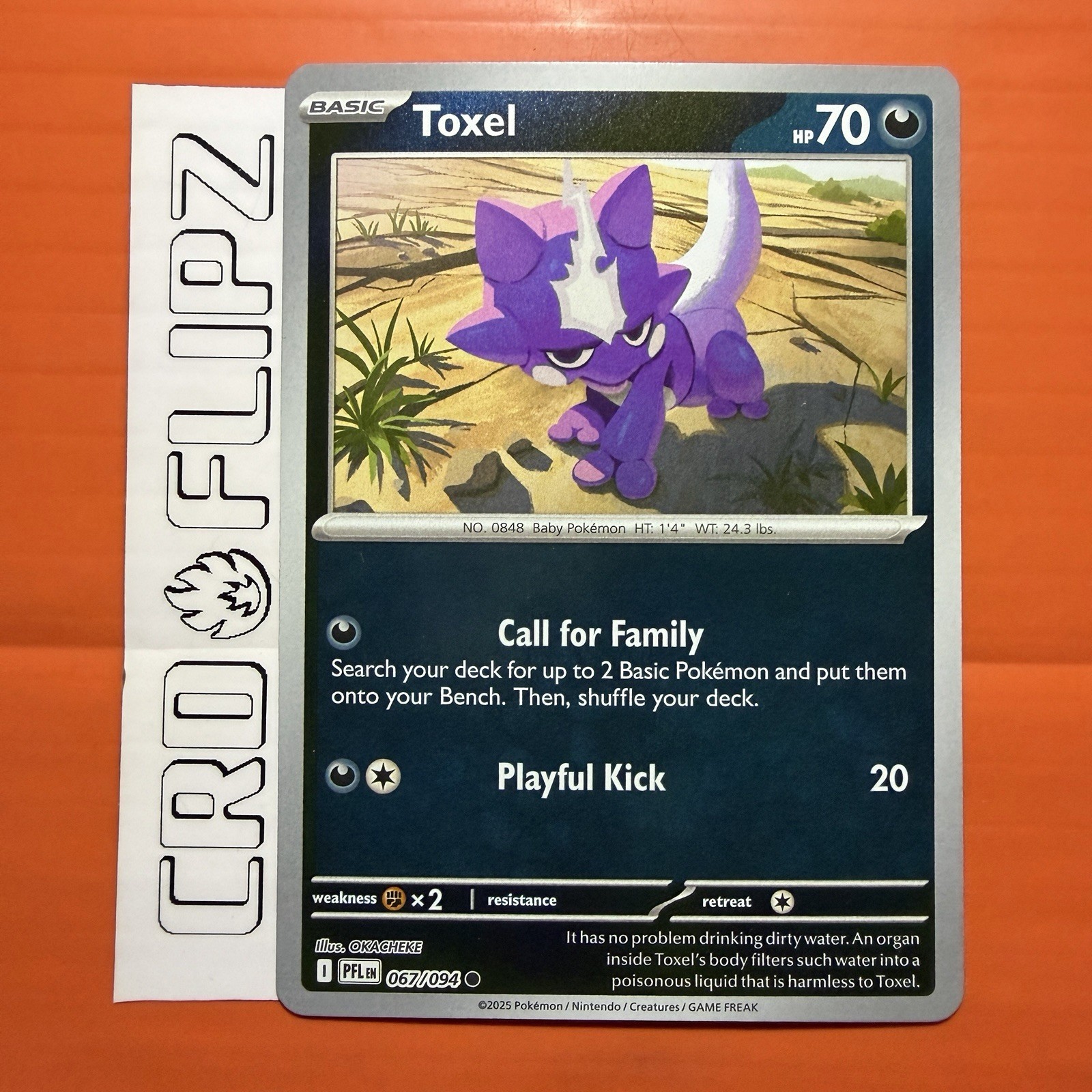 Pokemon TCG Card - Toxel 67/94 Common | Phantasmal Flames (2025) PFL