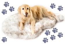 Orthopedic Memory Foam Dog Bed - Large 50x30, White/Brown, Pet Comfort  Support
