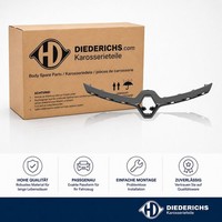 Zier Schutzleiste KÜHlergitter Diederichs 4407041 FÜR Renault