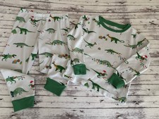 Pottery Barn Kids CHRISTMAS Dino Organic 2 Piece Pajama Set Sz 4