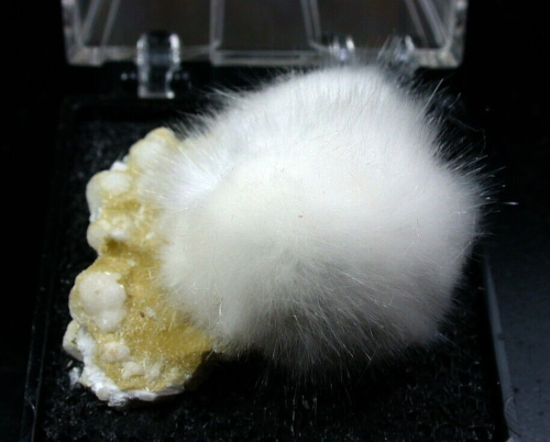 MINERALS : BALL OF OKENITE HAIRS ON GYROLITE MATRIX FROM MALAD QUARRY IN INDIA - Picture 1 of 1