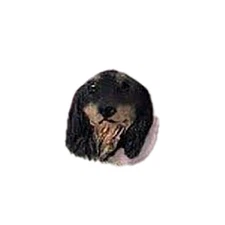 Conversation Concepts Dachshund Black Longhaired Earrings Post