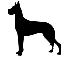 Great Dane, Dog, Vinyl Wall Decal, Truck, Car, Trailer Decal