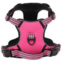 Hundegeschirr Mit Leine & Halsband Verstellbar Rosa L