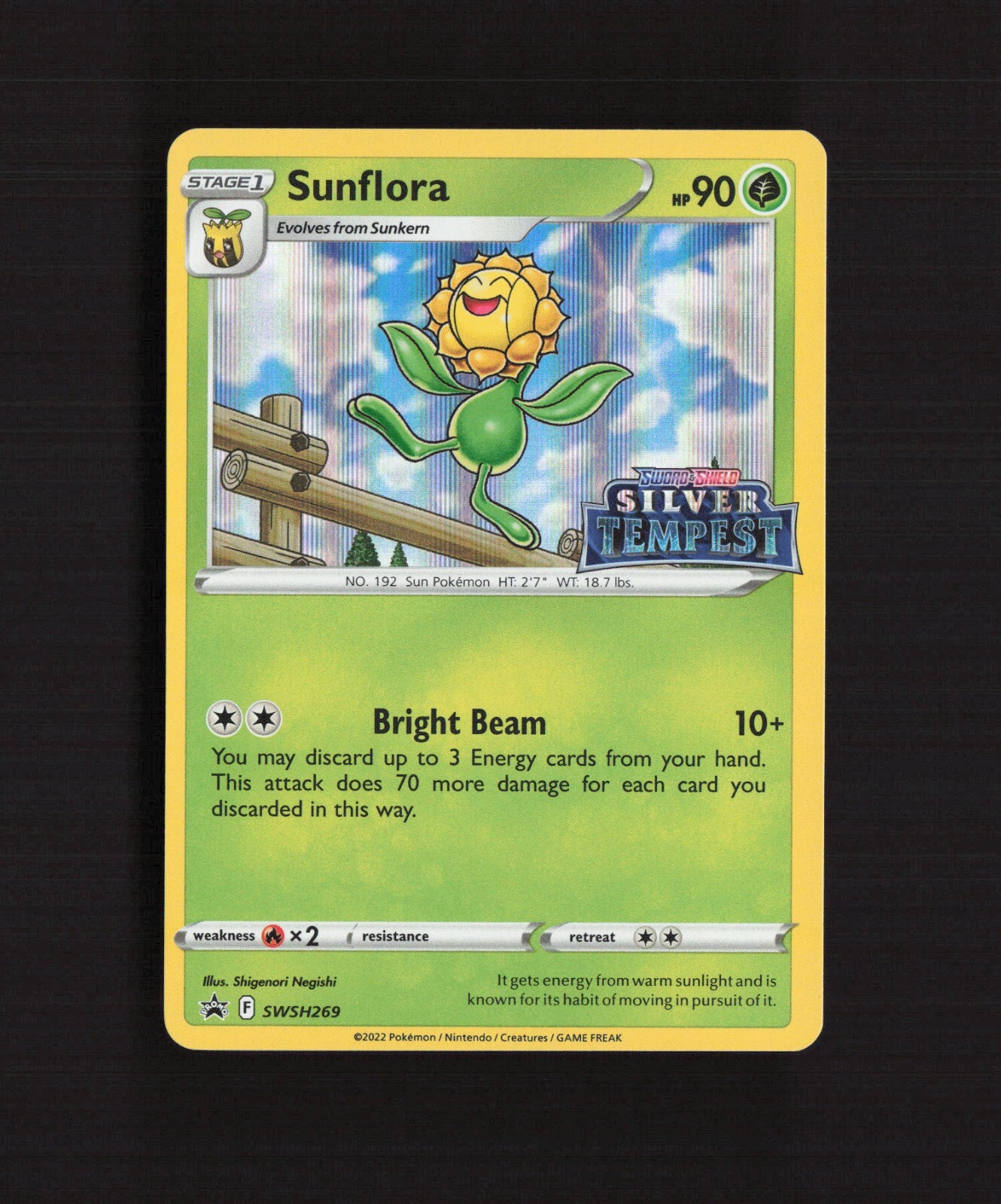 Sunflora SWSH269 Silver Tempest Black Star Promo Holo Stamped Pokemon Card LP+