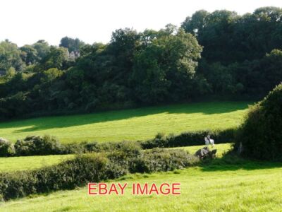 PHOTO  NEOLITHIC CHAMBER TOMB AT BROADSANDS A WHITE HORSE STANDS WITH ITS RIDER