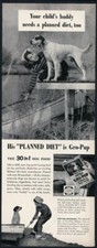 1952 English Setter boy photo Kellogg's Gro Pup dog food vintage print ad