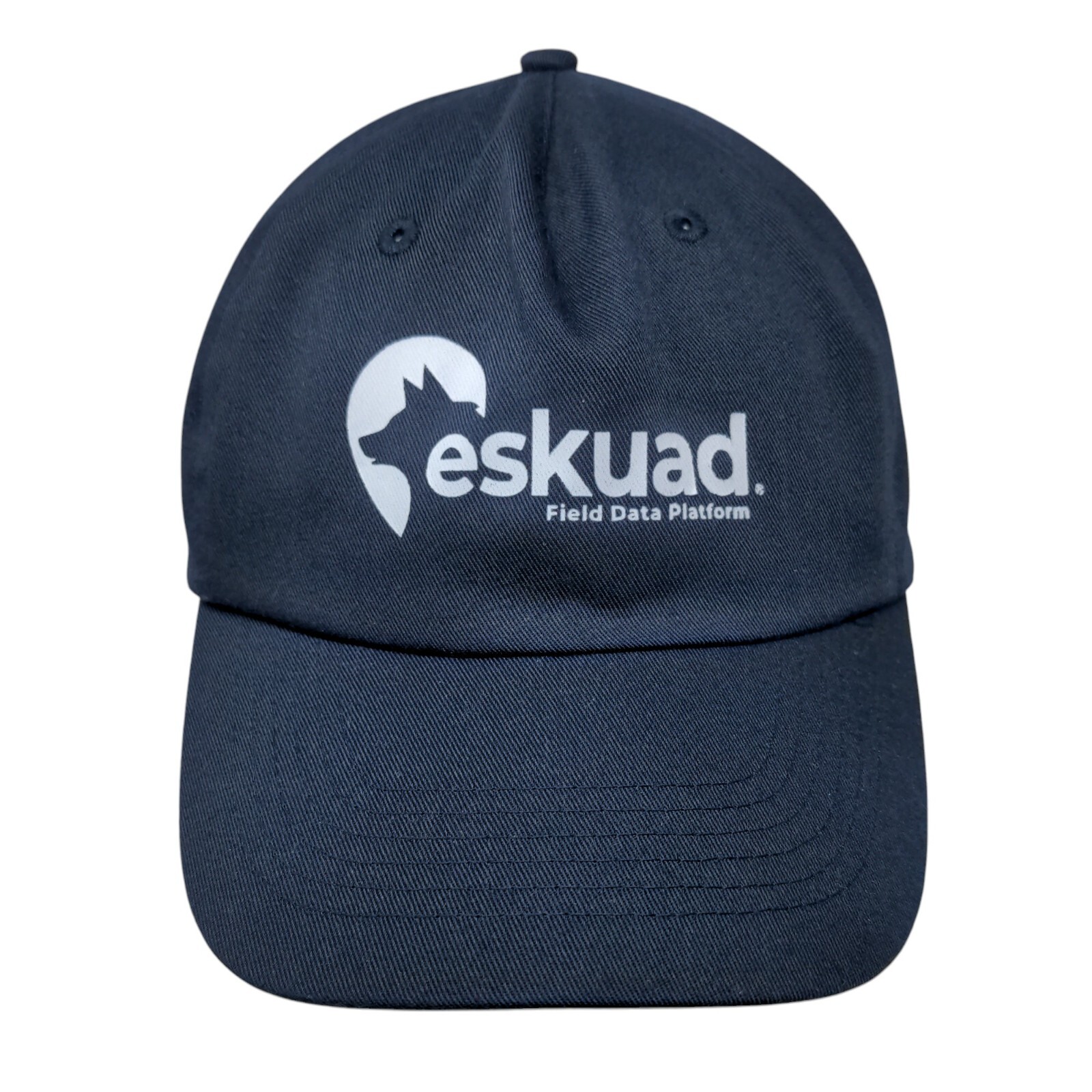 Eskuad Field Data Platform Strapback Hat Blue OSF… - image 1