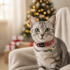 2 Pack Christmas Cat Collars with Breakaway Buckle  Bell - Adjustable 7-12 Inch