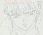 The Twelve Kingdoms Juuni Kokki Genga Douga Original Sketches Pierrot - Youko — photo 6