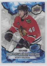 2021-22 Upper Deck Ice Ice Premieres 301/499 Wyatt Kalynuk #218 2d8