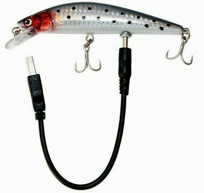 electronic lures