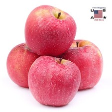 6Pcs Artificial Lifelike Red Apple Fake Fruit Food DecoratIve Kitchen Home Decor