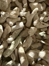 5 kg Korallenbruch ca 3 cm zu 100 % Natürlich für z.B.Kalkreaktor