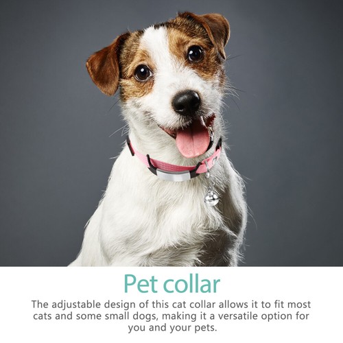 Pets Collar Comfortable Wearing Cat Collar Adjustable Cats Collar Simple Puppy - Picture 11 of 12