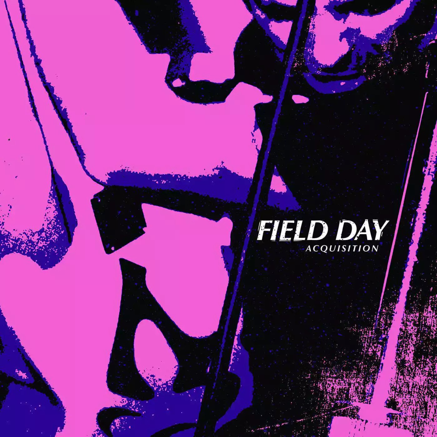 Field Day Acquisition (Vinyl LP) 12" Album