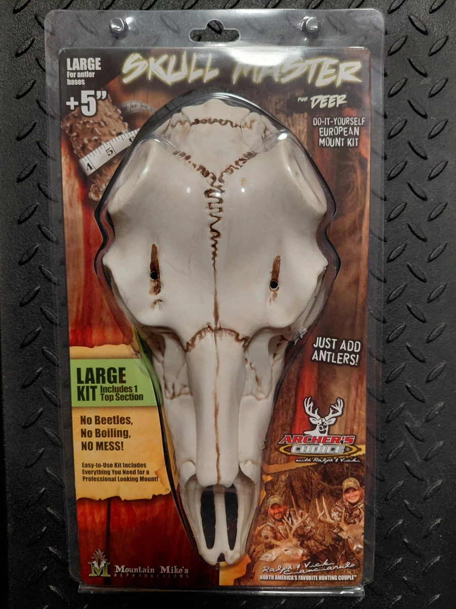 Mountain Mike's Hunting Taxidermy for sale | eBay