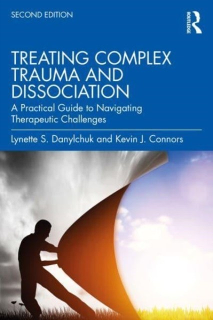 Treating Complex Trauma & Dissociation - Image 4