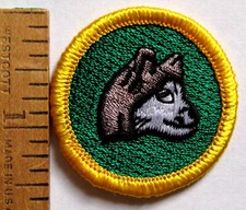 INSIGNIA DE TRINEO DE PERRO Girl Scout Junior Council Propio Nieve Alaska Husky Mushing Patch