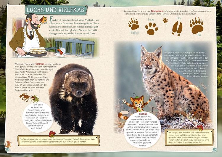 Thumbnail - Pettersson Und Findus: Tiere Entdecken In Wald Und Wiese | 2020 |