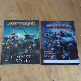 Warhammer x2 books AOS Age Of Sigmar Books