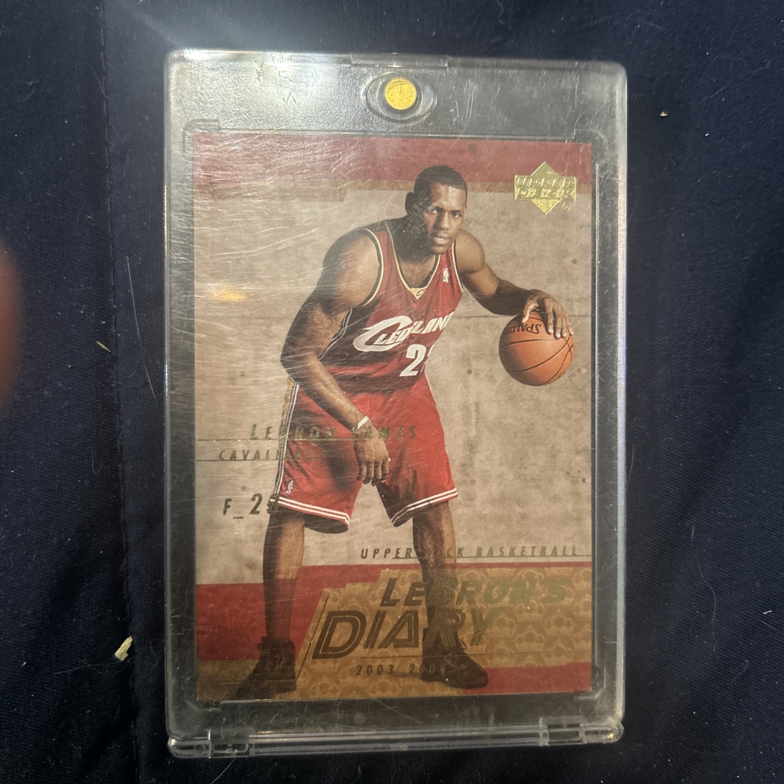 2003 Upper Deck Lebrons Diary #LJ13 Rookie Year Cavaliers LeBron James