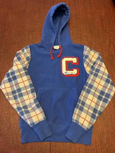 champion hoodie, mens, small, reverse 