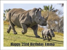 Rhino Edible Cake Topper Icing Birthday Cake Jungle Animal Decorations (2 Sizes)