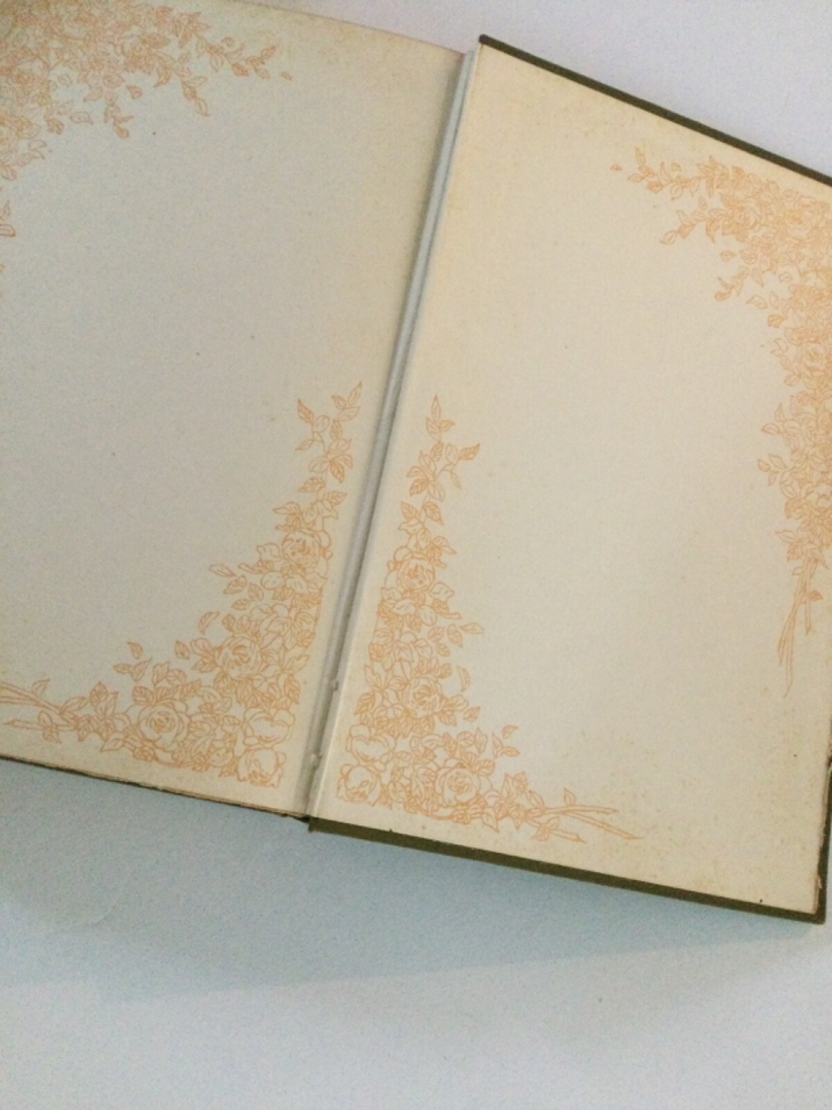 Picture 5 of 5