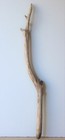 Treibholz Schwemmholz Driftwood 1 XL Ast Terrarium Dekoration Garderobe 103 cm
