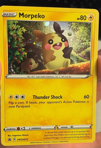 Morpeko SWSH012 Holo P Sword & Shield Promo Pokemon NM