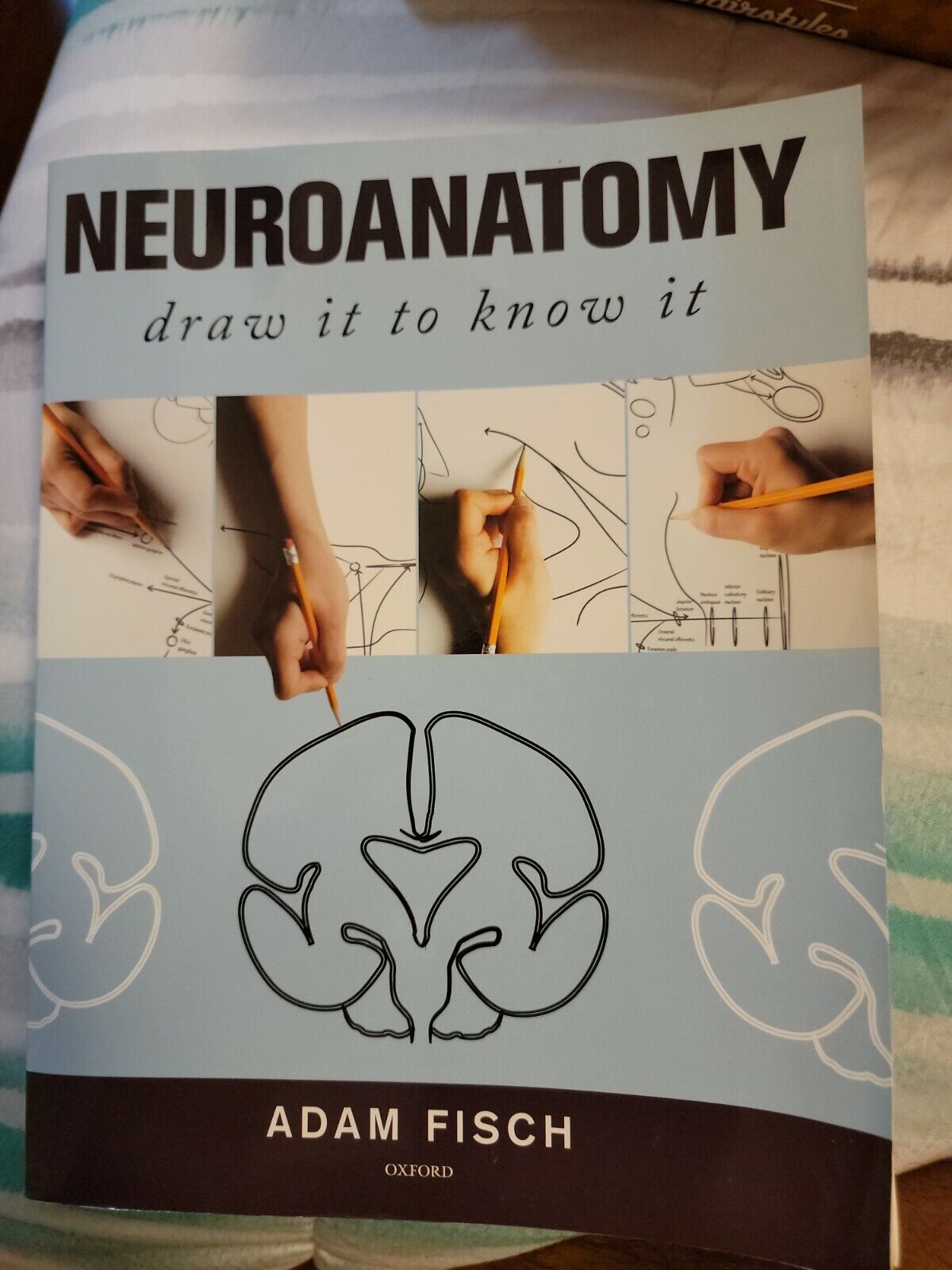 Neuroanatomy: Draw It to Know It: 9780190259587: Medicine & Health Science  Books @