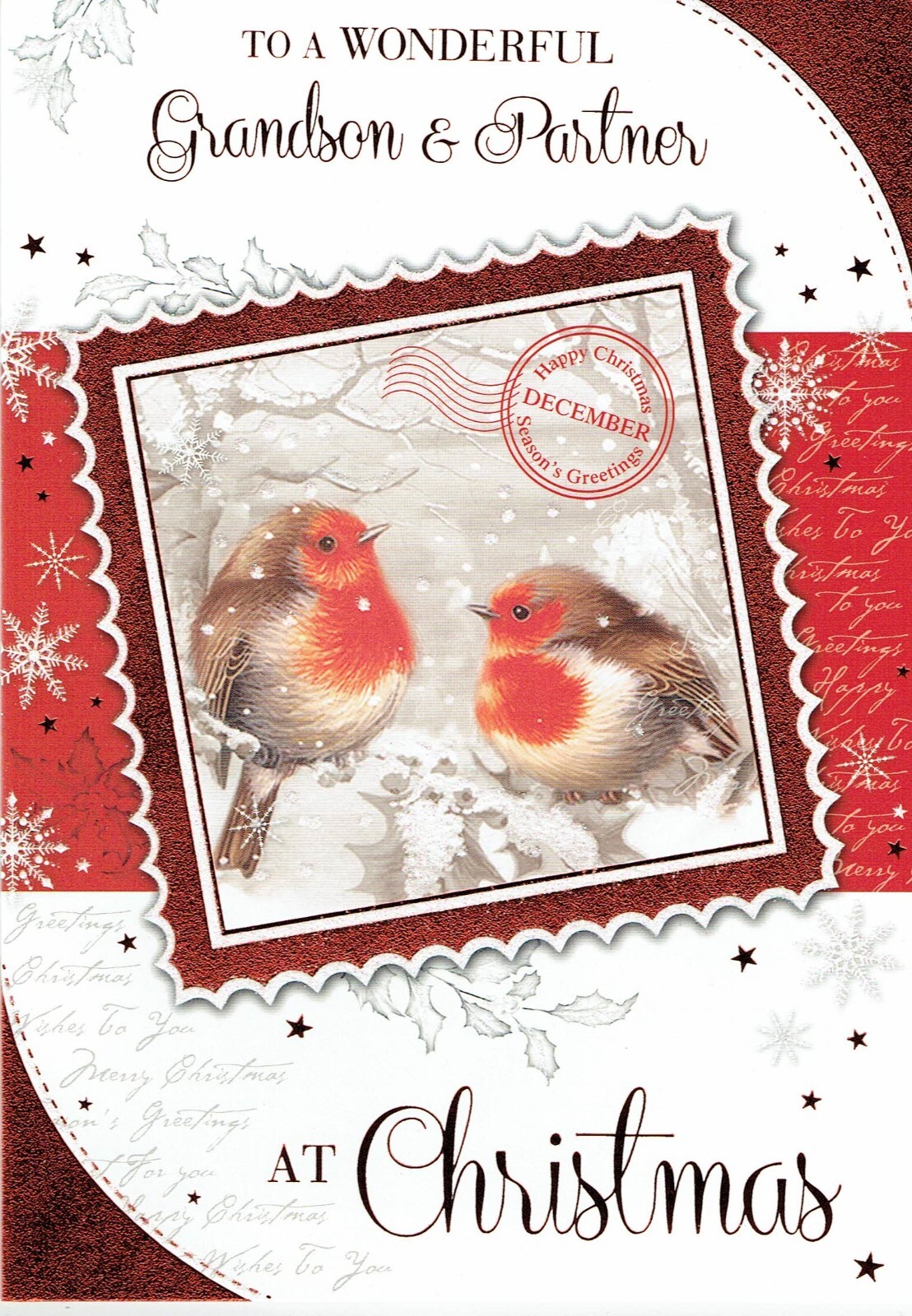 GRANDSON AND PARTNER CHRISTMAS CARD, Quality Card Robins Design